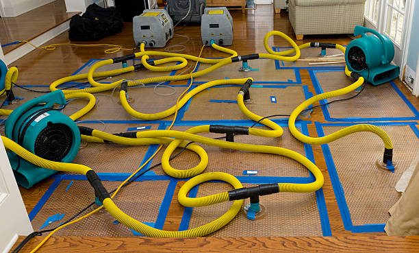 Professional Water Damage Repair technician working in Warren, IL